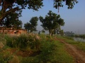 Road By The Canal