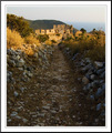 Ancient Road