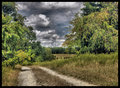 Some will seek what's around the bend . . . many will never know.