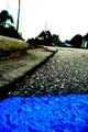 Captivating Blues