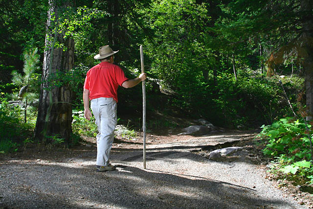 The Bridle Trail