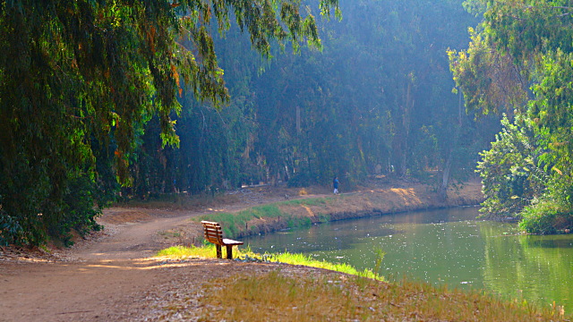 A woman and her hard to find dog taking the less traveled one