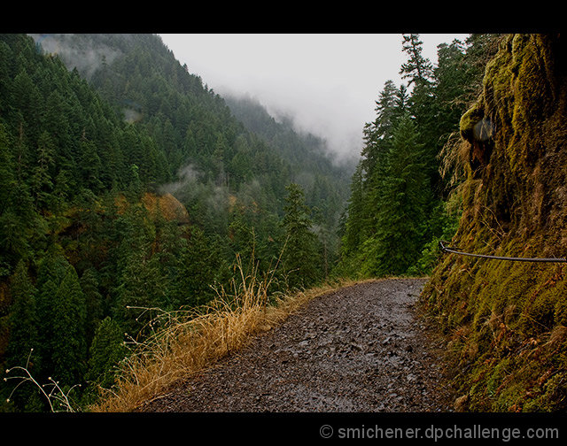 Eagle Creek Trail- Columbia River Gorge