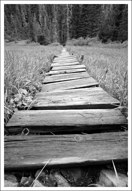 Bridge into the Unknown