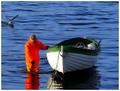 Transportation by sea