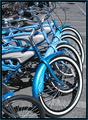 Rental Bikes
