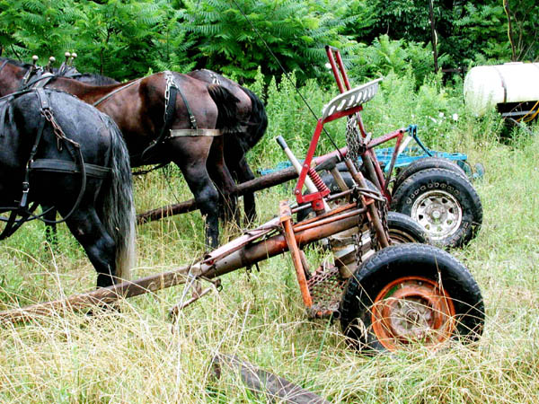 Amish Horsedrawn Chariot