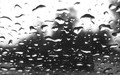 Gray Rain