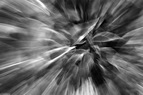 Searching the shape