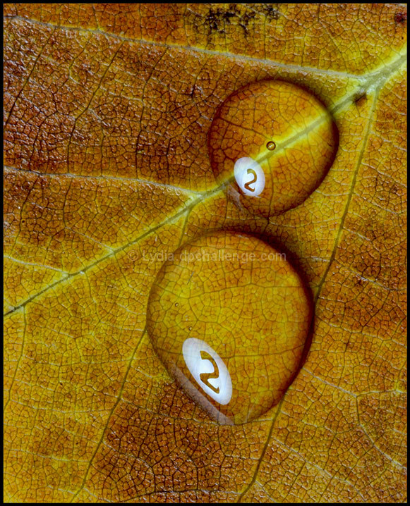 "2" Drops on a Leaf