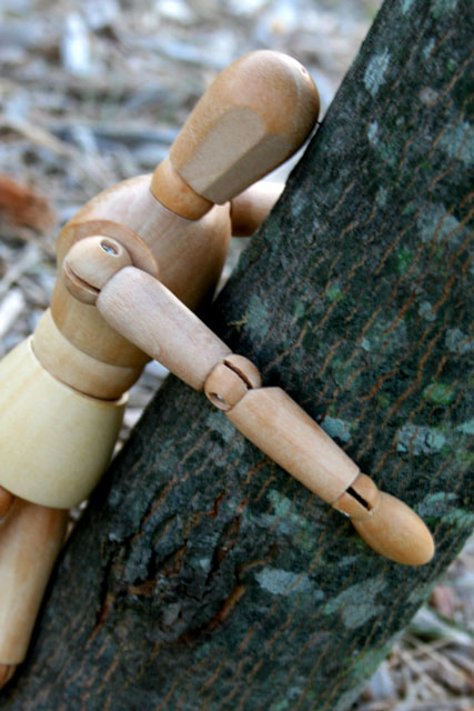 Woody- Class of  09- All Natural