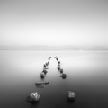 ' . substr('//images.dpchallenge.com/images_challenge/0-999/913/120/715536.jpg', strrpos('//images.dpchallenge.com/images_challenge/0-999/913/120/715536.jpg', '/') + 1) . '