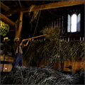 Making Hay While The Sun Shines