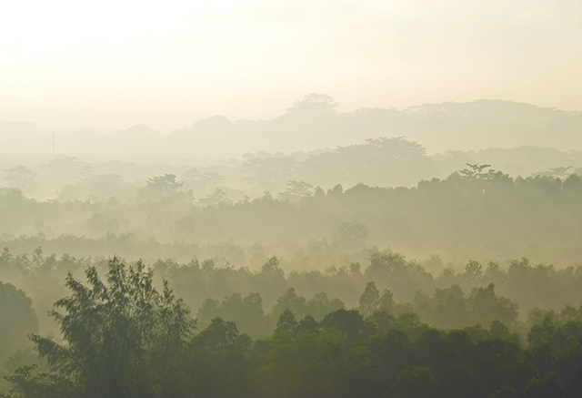Another Hot  Hazy Morning