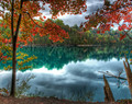 From Summer to Fall