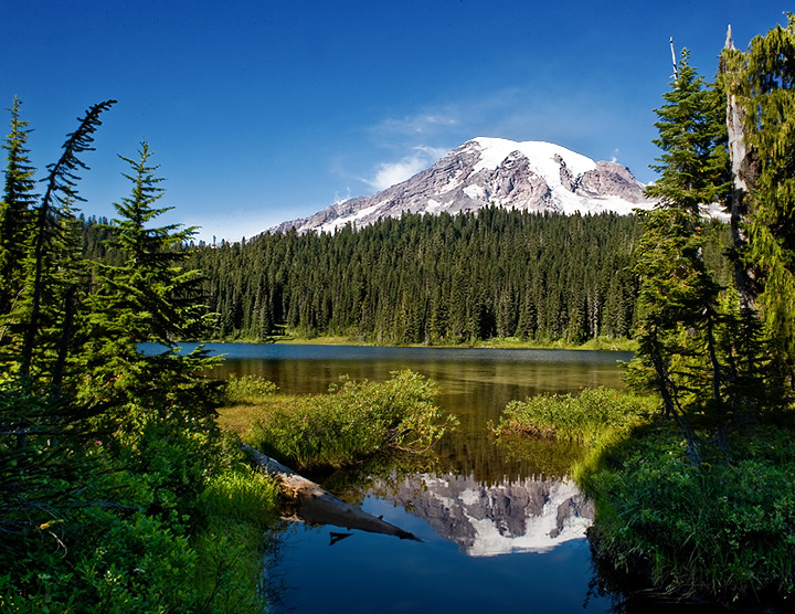 Reflection Lake