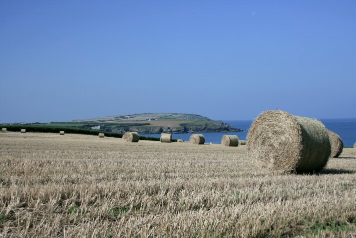 Make Hay While The Sun Shines