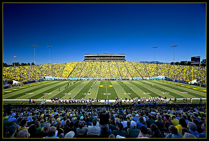 Oregon Yellow under the Deep Blue