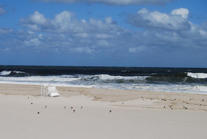 Lonely Beautiful Beach Day