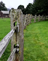 The Old Farm Fence