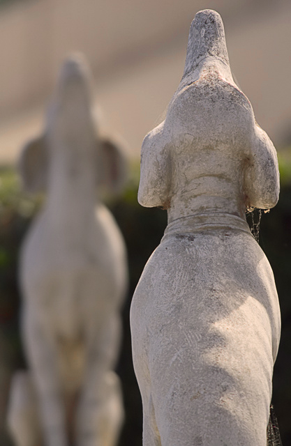The Gate Guards