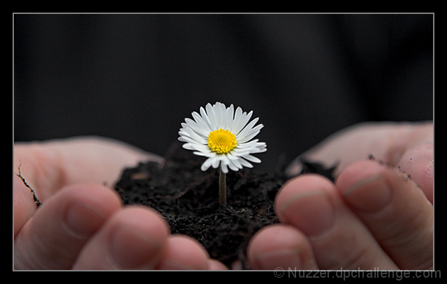 Our Future Is In Our Hands
