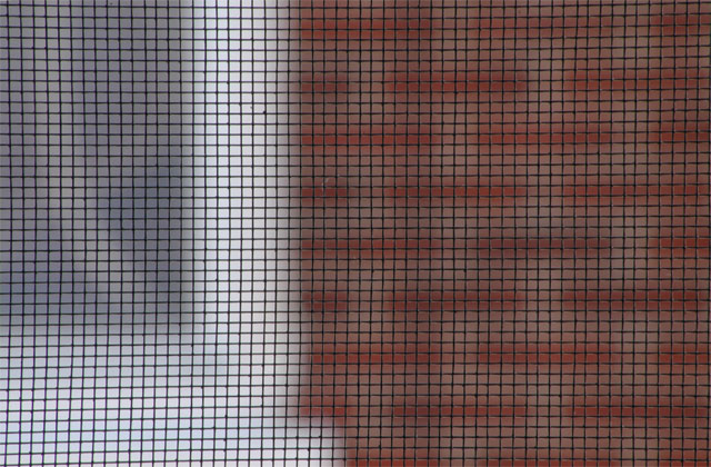 Through the screen