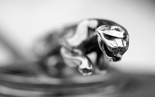 Jag
