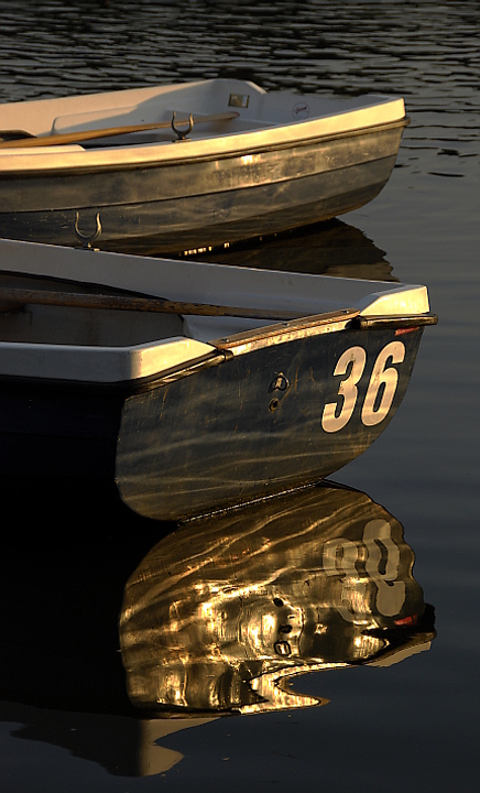 thirty six at sunset