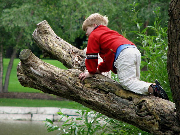 Little Climber