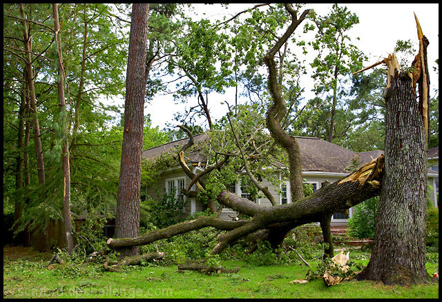 Living in Hurricane Alley