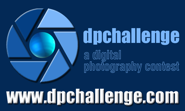 DPChallenge Stick project