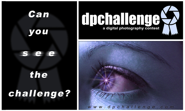 Can you see the challenge?