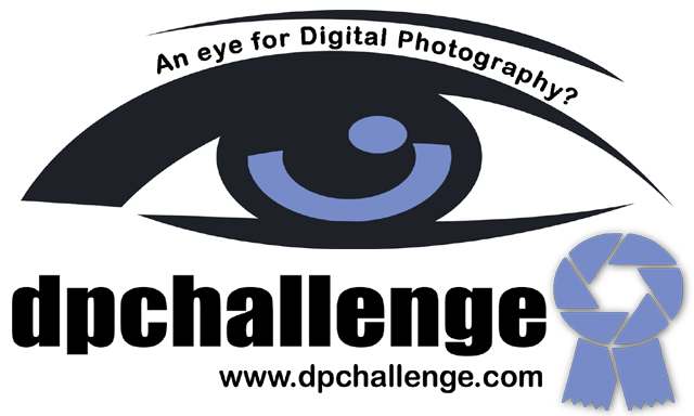 An Eye For DpChallenge