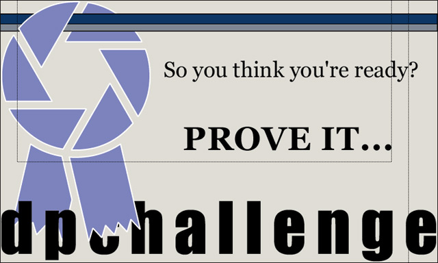 DP Challenge Sticker