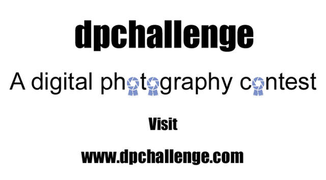 dpchallenge sticker