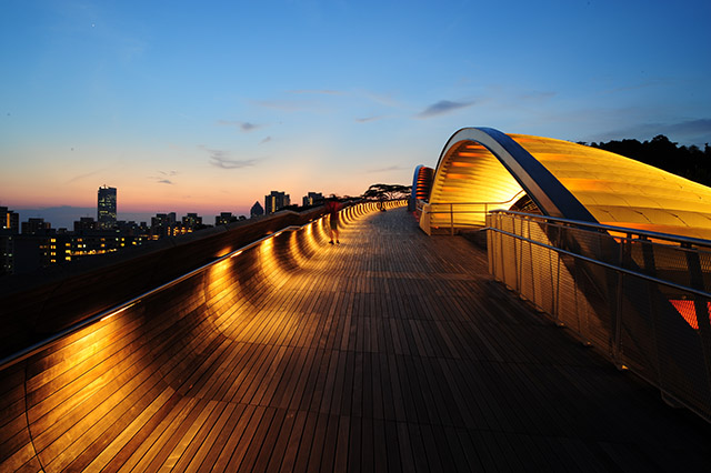 Twilight at Henderson Wave