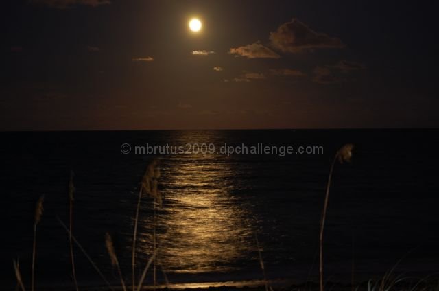 moon over Lake Worth beach