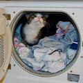 Bummer!!, she found my cosy hidding place.