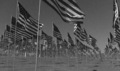 9/11 