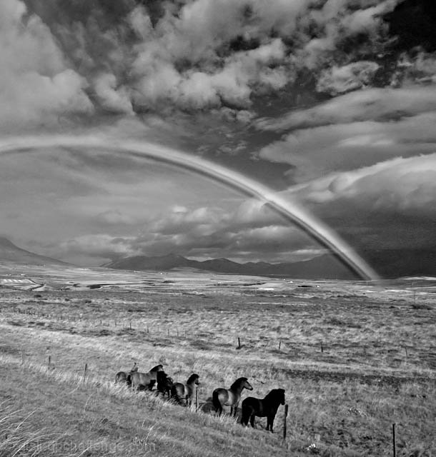 Watching  the rainbow