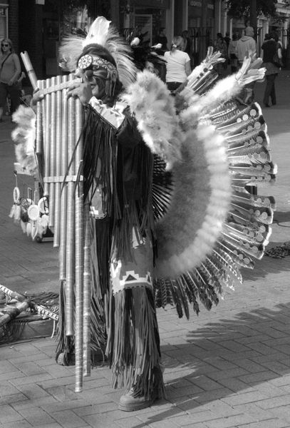 Peruvian Musician