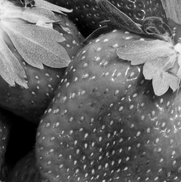 Punnet of Strawberries