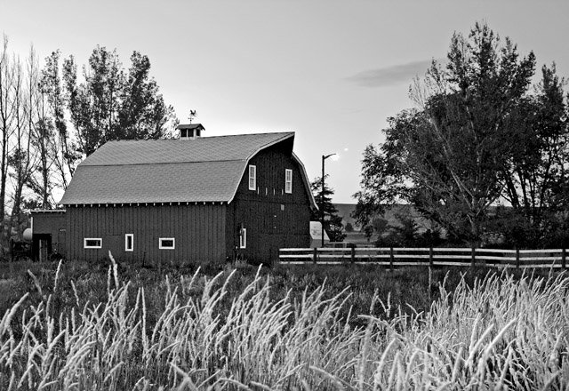 The Barn