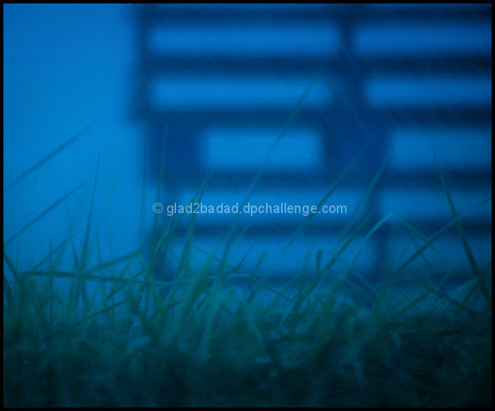 Rainy Day Blues :: Nature Essential
