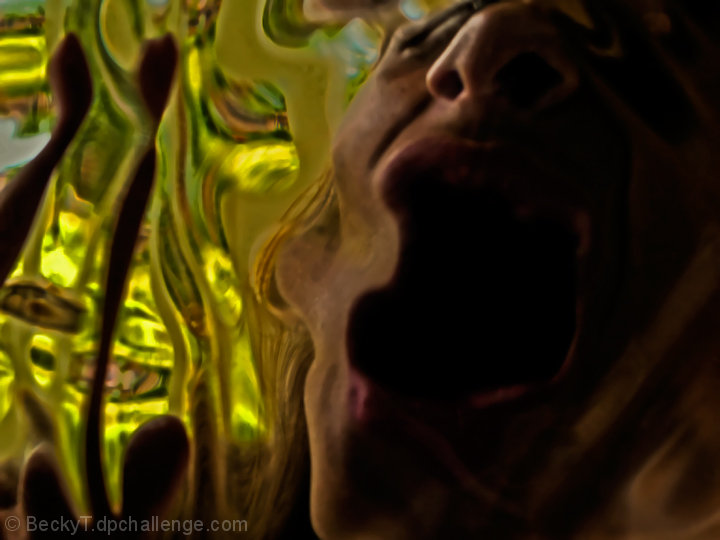 ThE sCrEaM!!!!!!!!!!!!!!!!!!