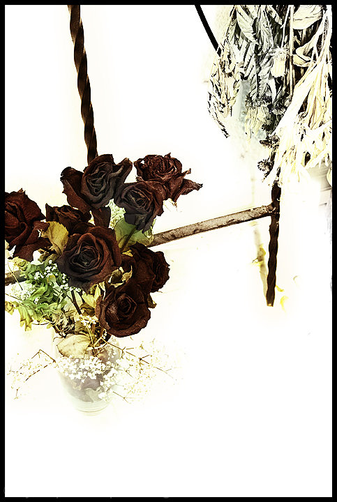 Pieces of past loves