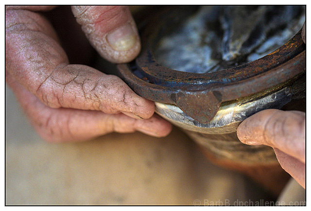 Working Hands