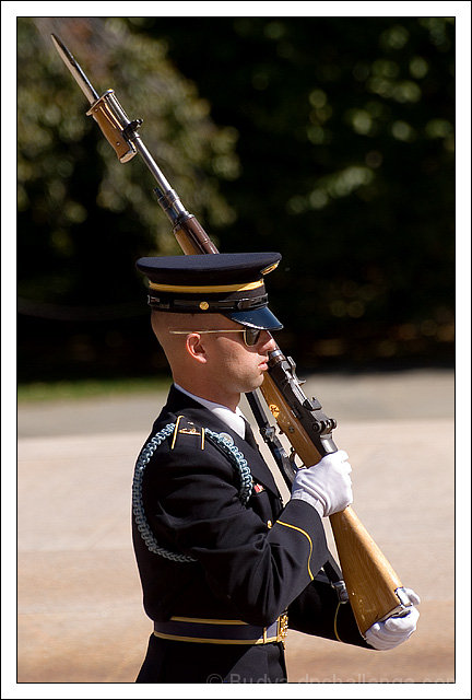 The Honor Guard