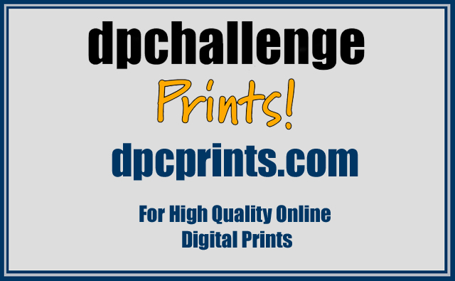 dpcprints.com sticker